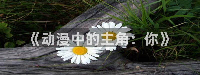 免费观看高清城市猎人91动漫：《动漫中的主角：你》